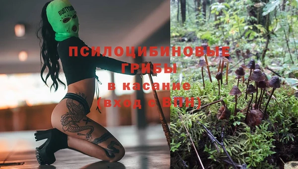 эйфоретик Армянск