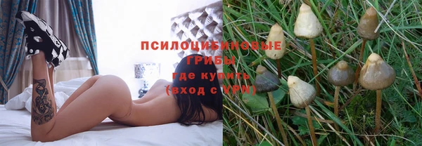 эйфоретик Армянск
